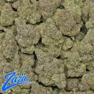 Nightshade Strain - 2