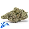 Nightshade Strain - 1
