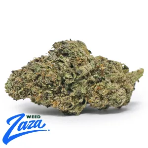 Prezy Runtz Strain - 1
