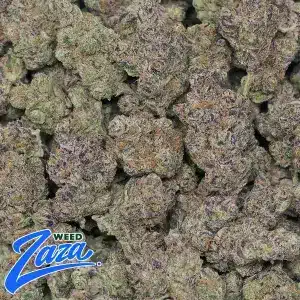 Tropicana Strain - 2