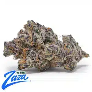 Tropicana Strain - 1