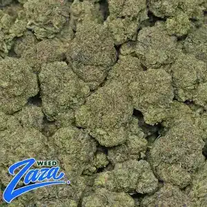 Black Ice Strain - 2