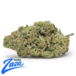Blueberry Haze Strain - 1