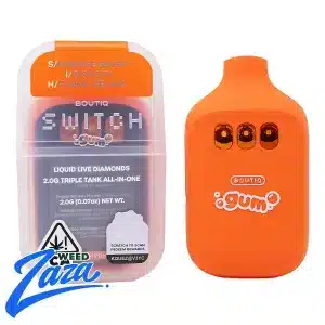 Boutiq Switch GUM (2g)