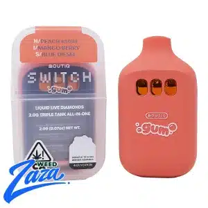 Boutiq Switch GUM (2g)