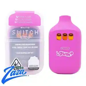 Boutiq Switch GUM (2g)