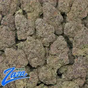 Cali Pink Runtz Strain - 2