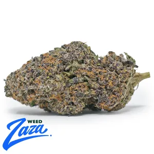 Cali Pink Runtz Strain - 1