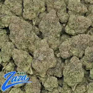 Face Off OG Strain - 2