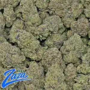 Frosted Cookies Strain - 2