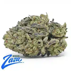 Frosted Cookies Strain - 1