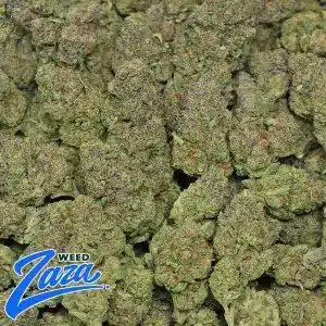 Key Lime Pie Strain - 2