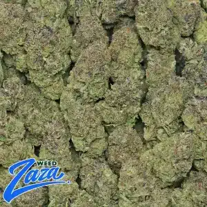 Midnight Runtz Strain - 2