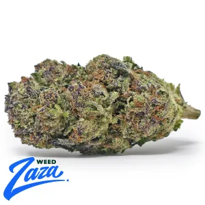 Midnight Runtz Strain - 1