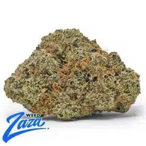 Pink Candy Strain - 1