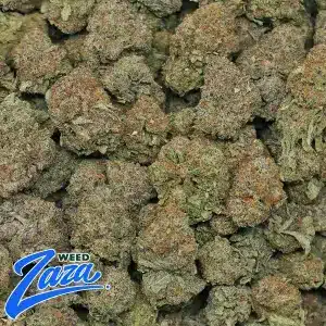 Pop Rox Strain - 2