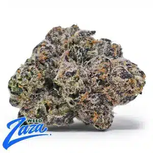 Purple Rain Strain - 1