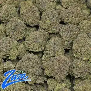 Scottie Pippen Strain - 2