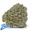 Scottie Pippen Strain - 1