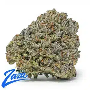 Scottie Pippen Strain - 1