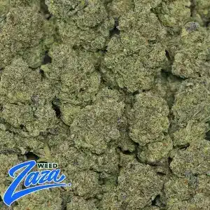 Sherbinski Strain - 2