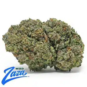 Sherbinski Strain - 1