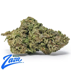 Super LCG Strain - 1