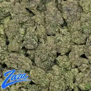Tokyo Gumdrop Strain - 2