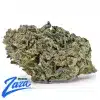 Tokyo Gumdrop Strain - 1