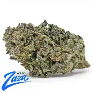 Tokyo Gumdrop Strain - 1