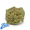 True OG 'Smalls' Strain - 1