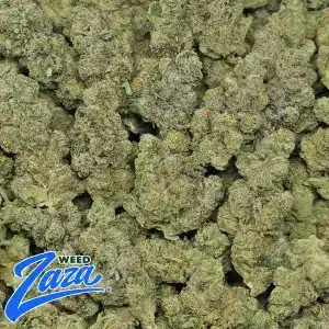 Candy Combustion Strain - 2