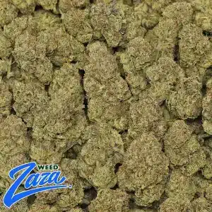 Candy Royale Strain - 2