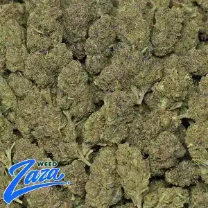 Candy Runtz Strain - 2