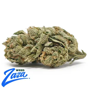 Cherry Fritters Strain - 1