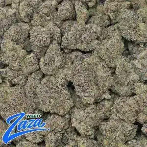Galactic Runtz Strain - 2
