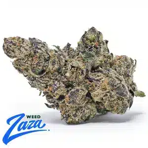 Galactic Runtz Strain - 1