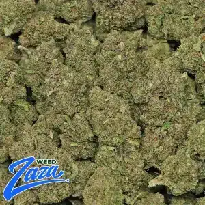 Galaxy Runtz Strain - 2
