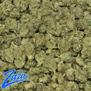 Gelato 'Mediums' Strain - 2