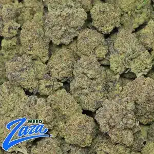 GMO Cookies Strain - 2
