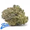 GMO Cookies Strain - 1