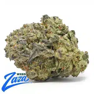 GMO Cookies Strain - 1