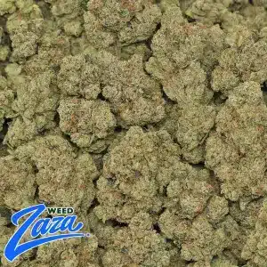Headband OG Strain - 2