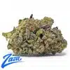 Italian Ice Strain - 1