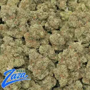 Killer OG Strain - 2