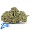 Kinglato Strain - 1