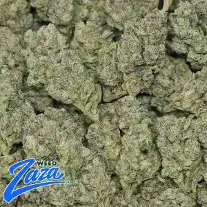 Kush Mintz Strain - 2