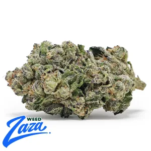 Kush Mintz Strain - 1