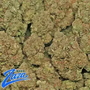 Mochi Strain - 2