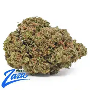 Mochi Strain - 1